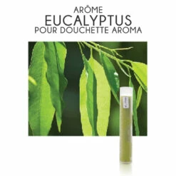 Filtre Arôme Eucalyptus + Vitamine C Pour Douchette Aroma (boîte De 3)