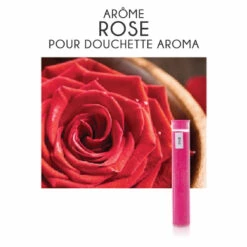 Filtre Arôme Rose + Vitamine C Pour Douchette Aroma (boîte De 3)